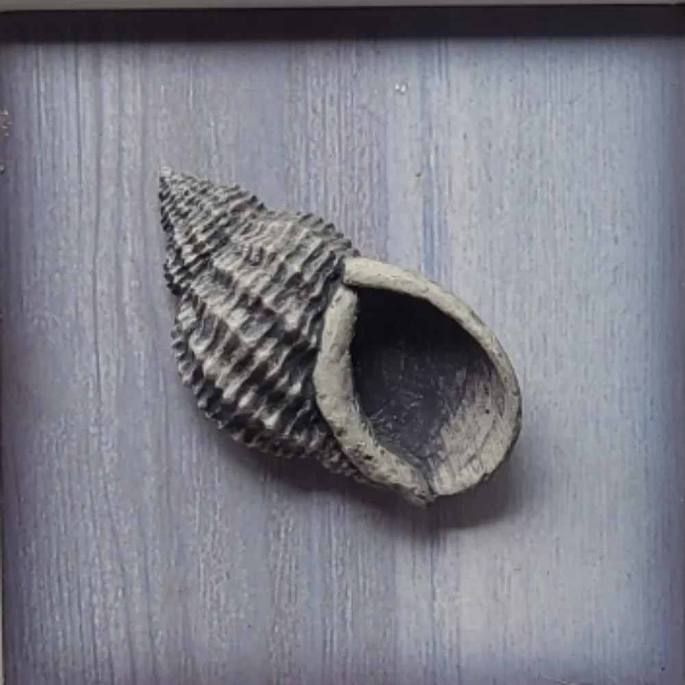2006 SET OF 2 FRAMED ART - SEA SHELLS